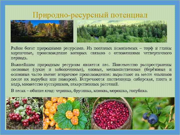 Природно-ресурсный потенциал Район богат природными ресурсами. Из полезных ископаемых – торф и глины кирпичные,