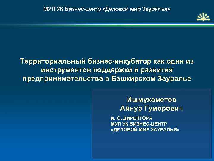 МУП УК Бизнес-центр «Деловой мир Зауралья» Территориальный бизнес-инкубатор как один из инструментов поддержки и