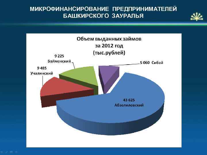 МИКРОФИНАНСИРОВАНИЕ ПРЕДПРИНИМАТЕЛЕЙ БАШКИРСКОГО ЗАУРАЛЬЯ 