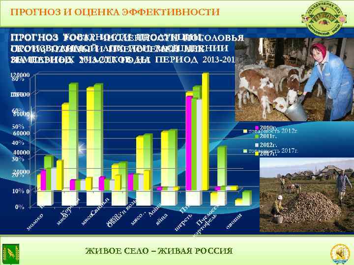 ПРОГНОЗ И ОЦЕНКА ЭФФЕКТИВНОСТИ ПРОГНОЗ ТОВАРНОСТИ ПРОДУКЦИИ, РОСТА ЧИСЛЕННОСТИ ПОГОЛОВЬЯ ПРОИЗВОДИМОЙ ЛПХ ПРИ РАСШИРЕНИИ