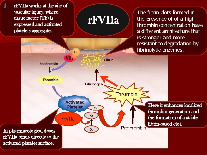 1. r. FVIIa works at the site of vascular injury, where tissue factor (TF)