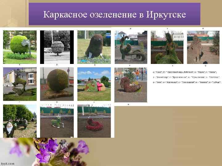 Каркасное озеленение в Иркутске 