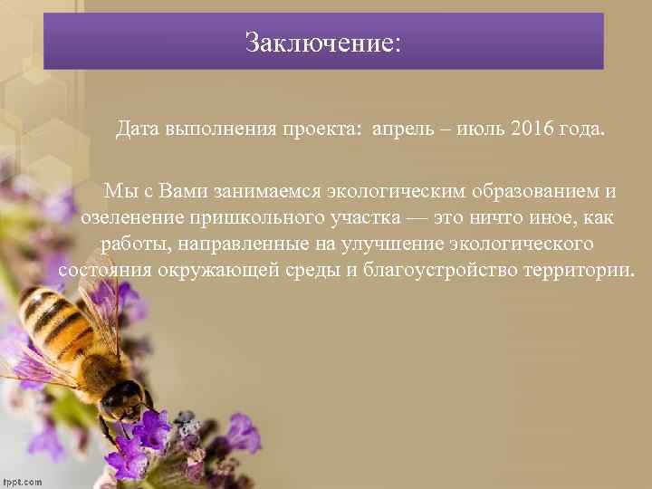 Заключение: Дата выполнения проекта: апрель – июль 2016 года. Мы с Вами занимаемся экологическим