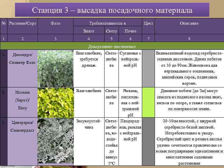 Станция 3 – высадка посадочного материала № Растение/Сорт Фото Требовательность к Цвет Влаге 1