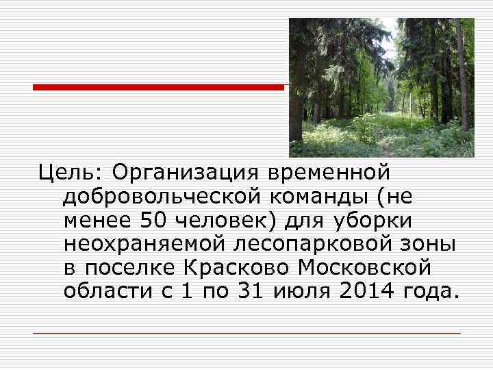 Цель: Организация временной добровольческой команды (не менее 50 человек) для уборки неохраняемой лесопарковой зоны