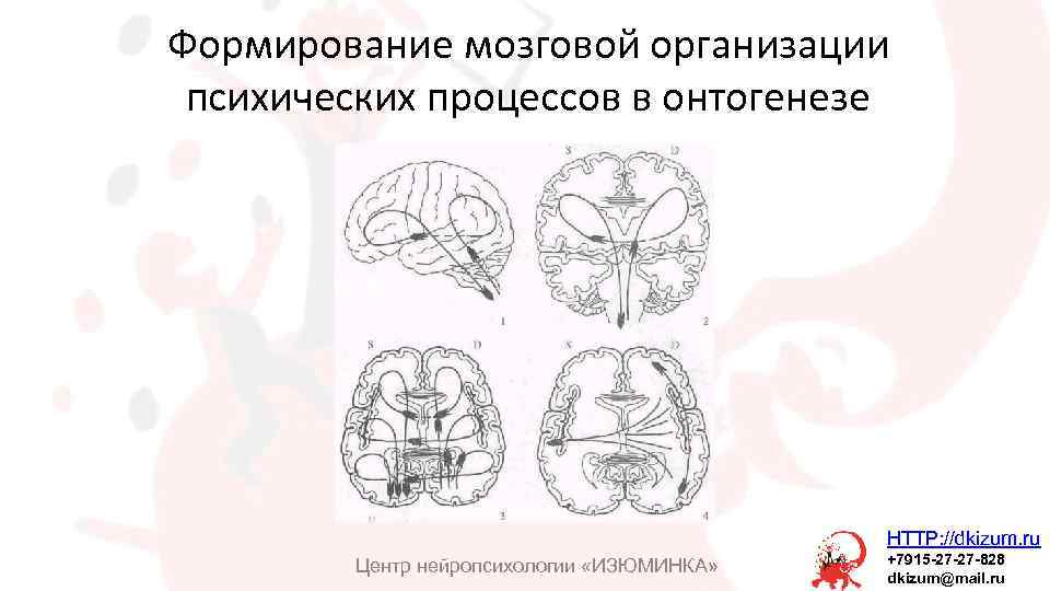 Условия декодирования и кодирования речи нейропсихология схема