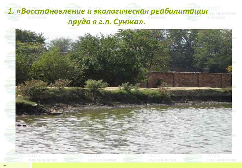  1. «Восстановление и экологическая реабилитация пруда в г. п. Сунжа» . 11 
