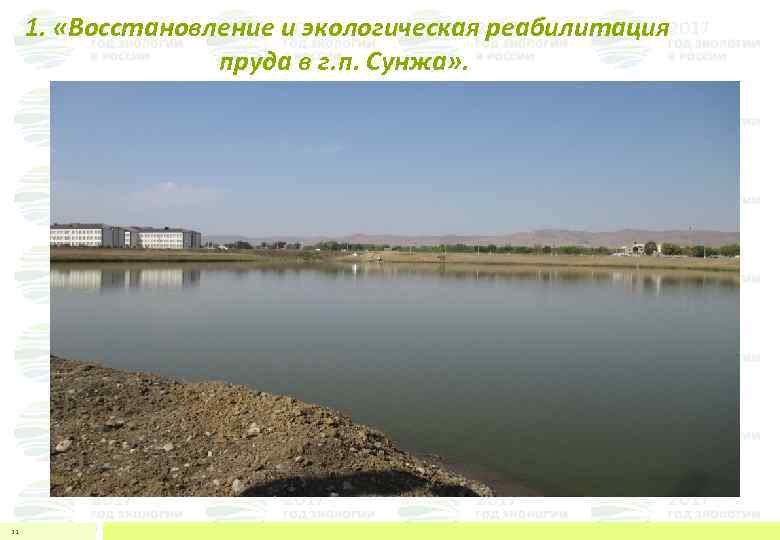 1. «Восстановление и экологическая реабилитация пруда в г. п. Сунжа» . 12 