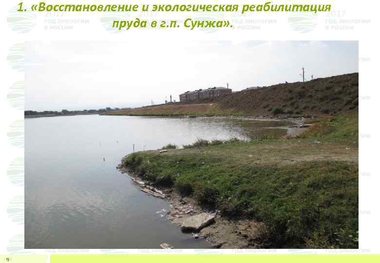  1. «Восстановление и экологическая реабилитация пруда в г. п. Сунжа» . 13 