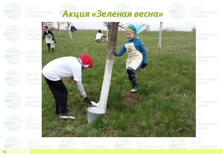 Акция «Зеленая весна» 24 