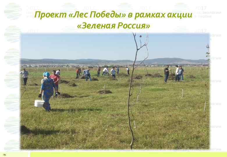 Проект «Лес Победы» в рамках акции «Зеленая Россия» 29 