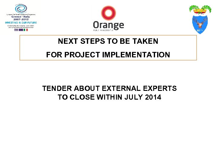 NEXT STEPS TO BE TAKEN FOR PROJECT IMPLEMENTATION TENDER ABOUT EXTERNAL EXPERTS TO CLOSE