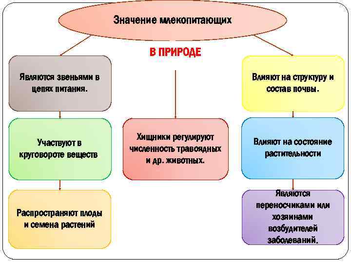 Роль млекопитающих в природе и жизни человека план конспект