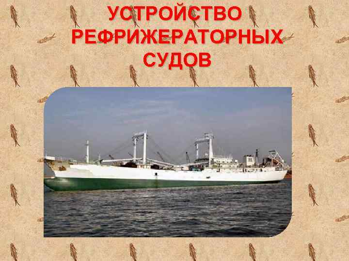 УСТРОЙСТВО РЕФРИЖЕРАТОРНЫХ СУДОВ 
