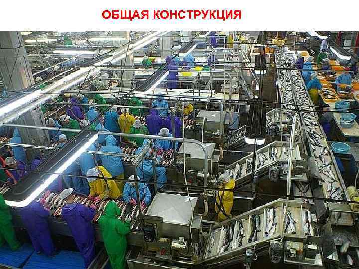 ОБЩАЯ КОНСТРУКЦИЯ На добывающих рефрижераторных судах, в особенности на крупных, и на плавучих базах