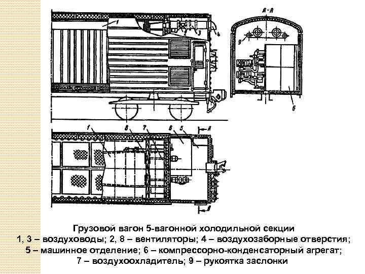 Грузовой вагон 5 -вагонной холодильной секции 1, 3 – воздуховоды; 2, 8 – вентиляторы;