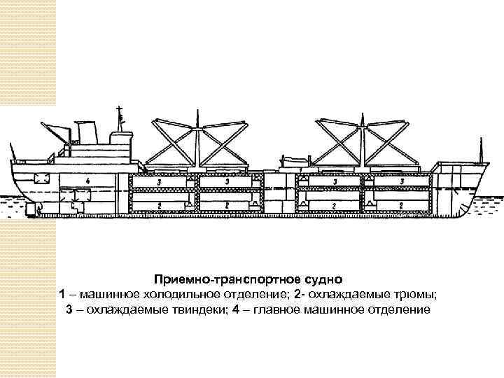 Приемно-транспортное судно 1 – машинное холодильное отделение; 2 - охлаждаемые трюмы; 3 – охлаждаемые