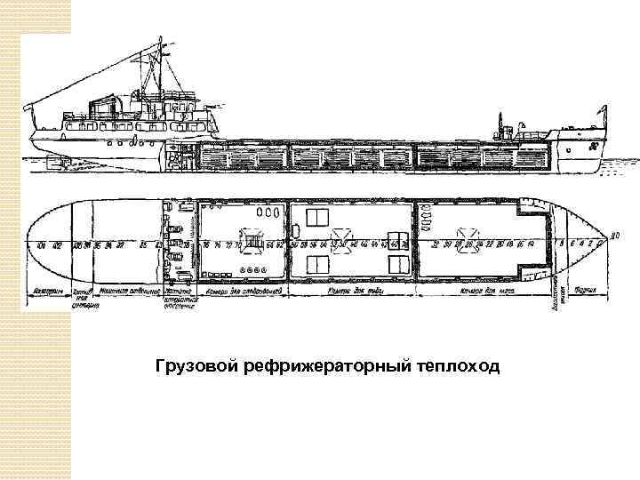 Грузовой рефрижераторный теплоход 