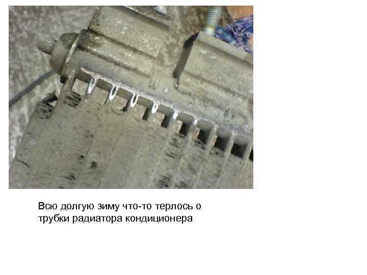Всю долгую зиму что-то терлось о трубки радиатора кондиционера 
