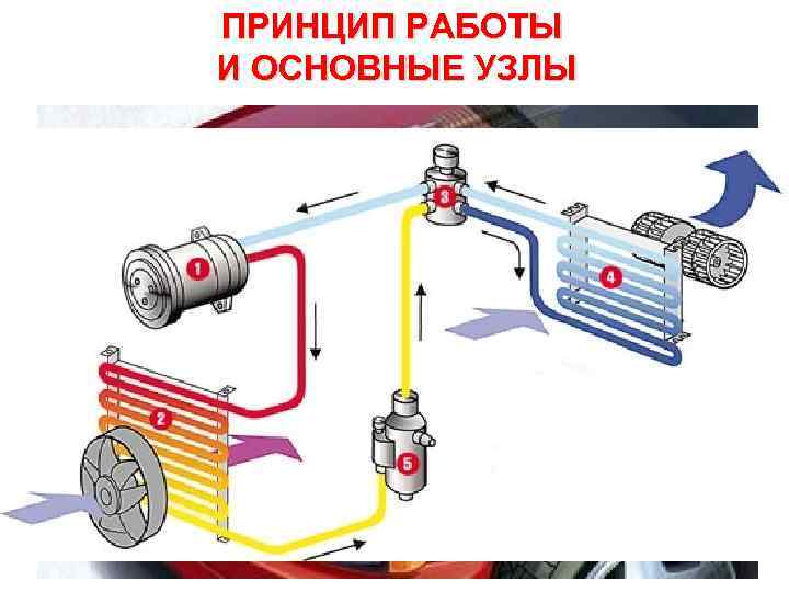 ПРИНЦИП РАБОТЫ И ОСНОВНЫЕ УЗЛЫ 