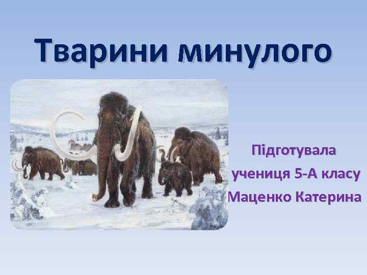 Тварини минулого Підготувала учениця 5 -А класу Маценко Катерина 