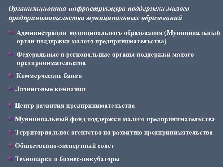 Организационная инфраструктура поддержки малого предпринимательства муниципальных образований Администрация муниципального образования (Муниципальный орган поддержки малого
