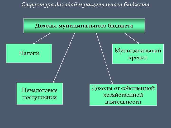 Структура доходов муниципального бюджета Доходы муниципального бюджета Налоги Неналоговые поступления Муниципальный кредит Доходы от