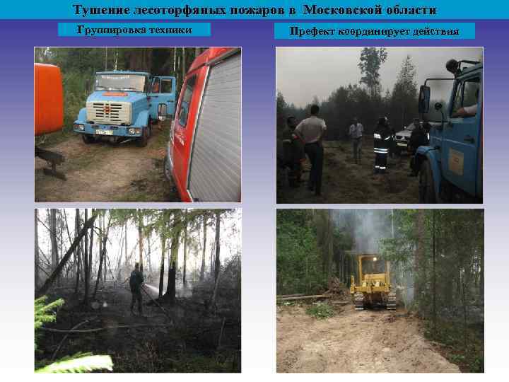 Тушение лесоторфяных пожаров в Московской области Группировка техники Префект координирует действия 