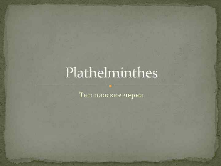 Plathelminthes Тип плоские черви 