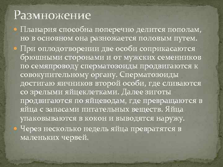 Размножение Планария способна поперечно делится пополам, но в основном она разножается половым путем. При
