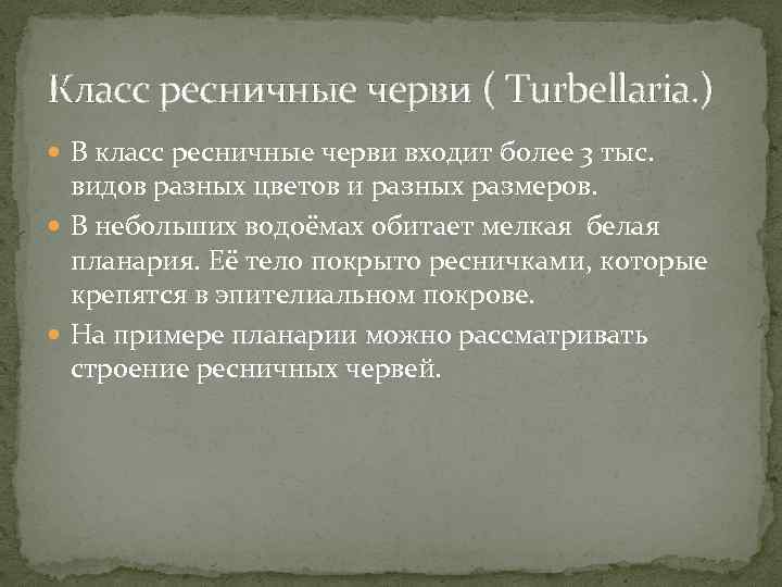 Класс ресничные черви ( Turbellaria. ) В класс ресничные черви входит более 3 тыс.