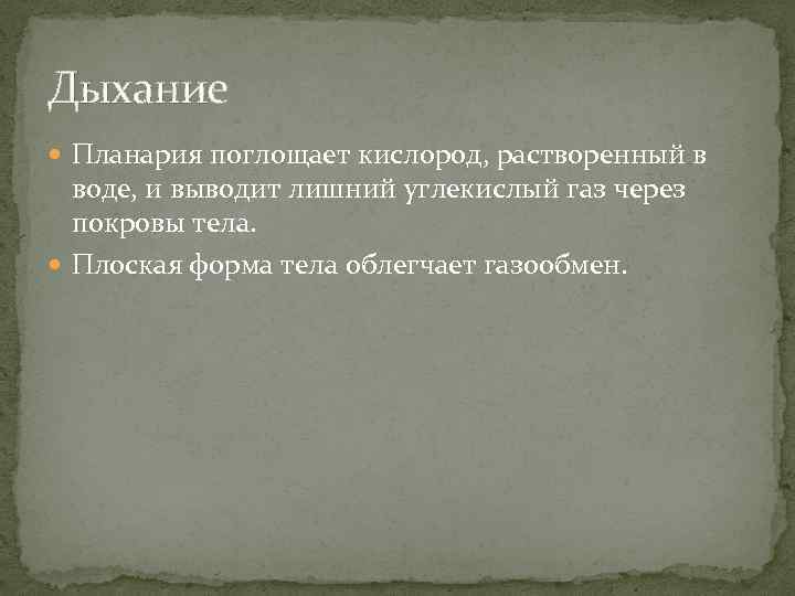 Дыхание Планария поглощает кислород, растворенный в воде, и выводит лишний углекислый газ через покровы