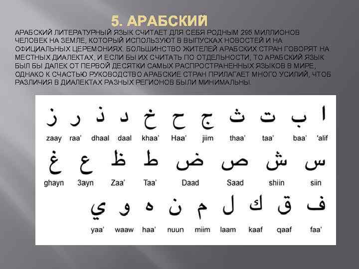  5. АРАБСКИЙ ЛИТЕРАТУРНЫЙ ЯЗЫК СЧИТАЕТ ДЛЯ СЕБЯ РОДНЫМ 295 МИЛЛИОНОВ ЧЕЛОВЕК НА ЗЕМЛЕ,