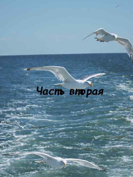 Часть вторая 46 