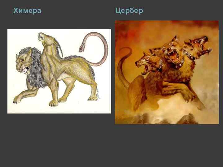 Химера Цербер 