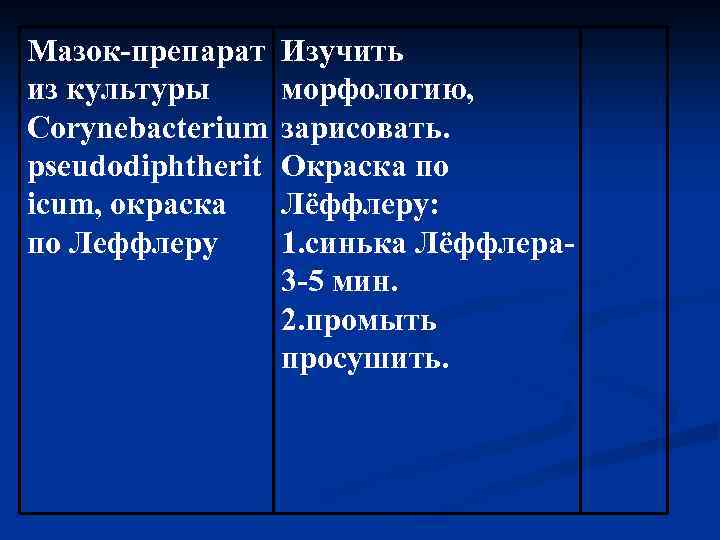 Мазок-препарат из культуры Corynebacterium pseudodiphtherit icum, окраска по Леффлеру Изучить морфологию, зарисовать. Окраска по