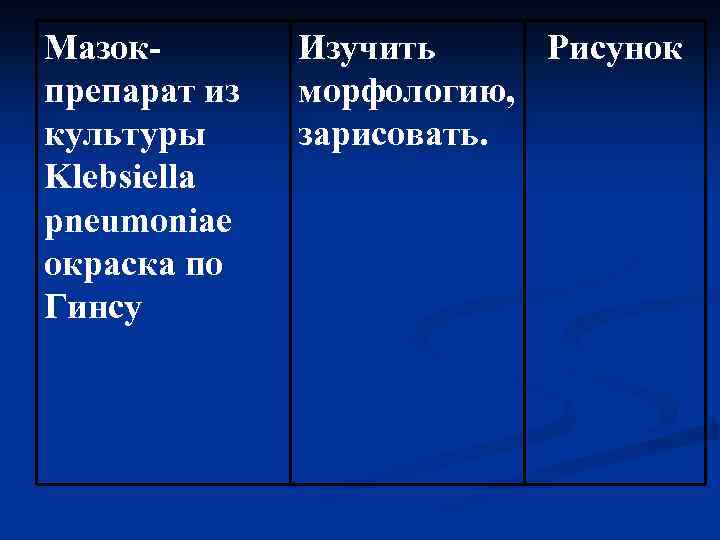 Мазокпрепарат из культуры Klebsiella pneumoniae окраска по Гинсу Изучить Рисунок морфологию, зарисовать. 
