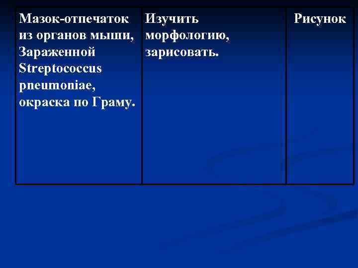 Мазок-отпечаток Изучить из органов мыши, морфологию, Зараженной зарисовать. Streptococcus pneumoniae, окраска по Граму. Рисунок