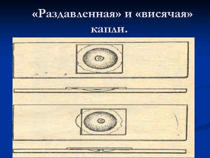  «Раздавленная» и «висячая» капли. 