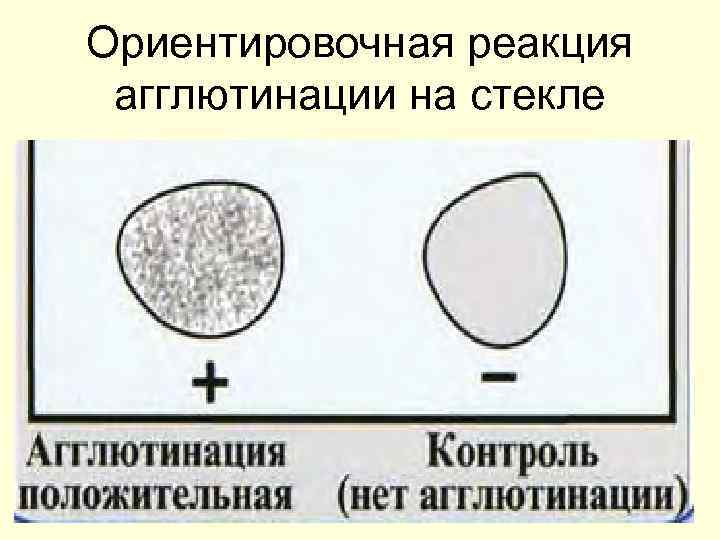 Реакция агглютинации микробиология презентация