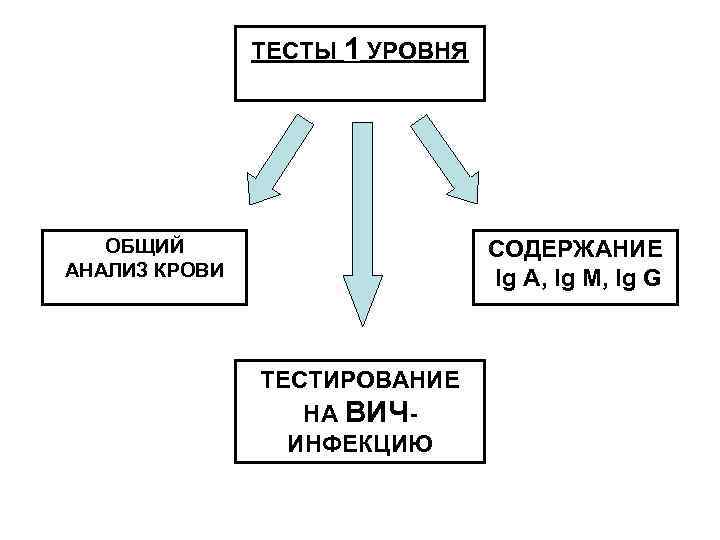 ТЕСТЫ 1 УРОВНЯ ОБЩИЙ АНАЛИЗ КРОВИ СОДЕРЖАНИЕ Ig A, Ig M, Ig G ТЕСТИРОВАНИЕ