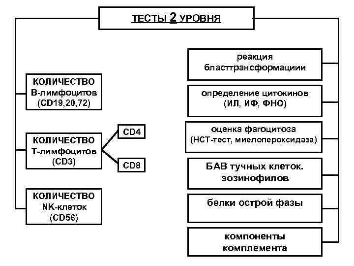 ТЕСТЫ 2 УРОВНЯ реакция бласттрансформациии КОЛИЧЕСТВО В-лимфоцитов (CD 19, 20, 72) КОЛИЧЕСТВО Т-лимфоцитов (CD