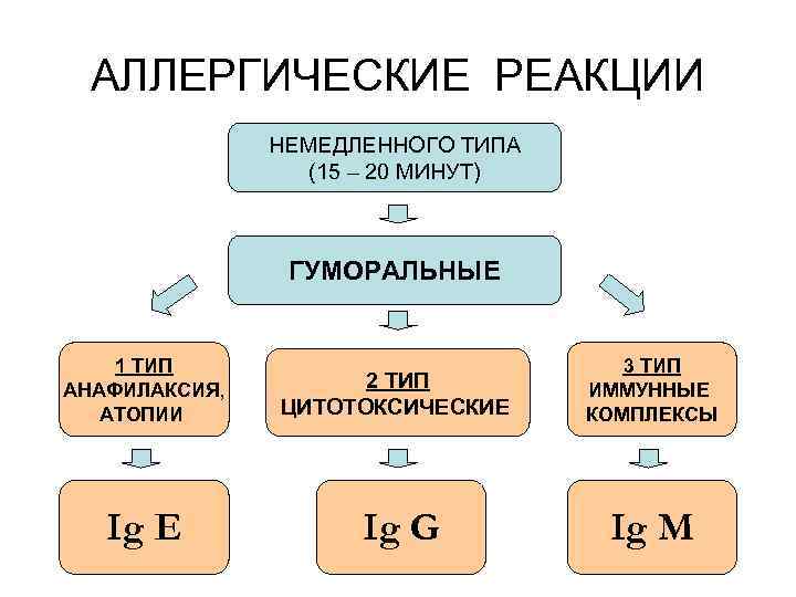 АЛЛЕРГИЧЕСКИЕ РЕАКЦИИ НЕМЕДЛЕННОГО ТИПА (15 – 20 МИНУТ) ГУМОРАЛЬНЫЕ 1 ТИП АНАФИЛАКСИЯ, АТОПИИ Ig