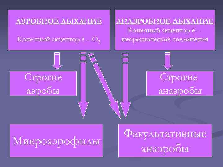 АЭРОБНОЕ ДЫХАНИЕ Конечный акцептор ē – O 2 Строгие аэробы Микроаэрофилы АНАЭРОБНОЕ ДЫХАНИЕ Конечный