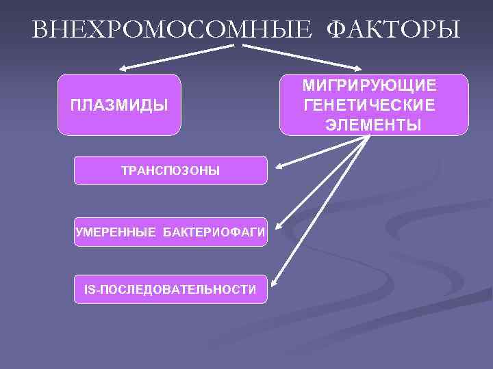 ВНЕХРОМОСОМНЫЕ ФАКТОРЫ ПЛАЗМИДЫ ТРАНСПОЗОНЫ УМЕРЕННЫЕ БАКТЕРИОФАГИ IS-ПОСЛЕДОВАТЕЛЬНОСТИ МИГРИРУЮЩИЕ ГЕНЕТИЧЕСКИЕ ЭЛЕМЕНТЫ 