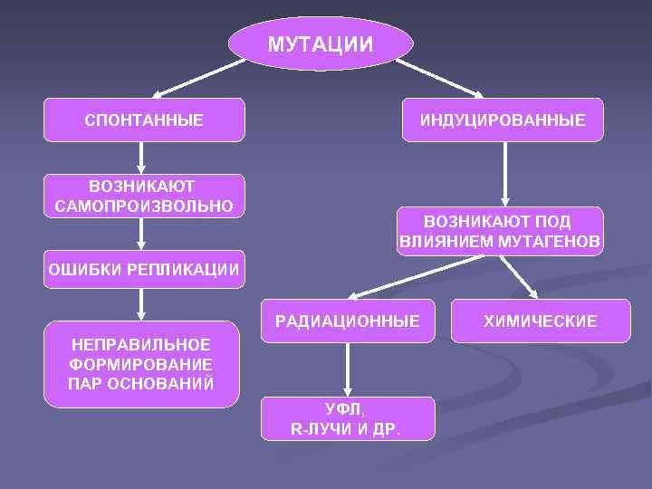 МУТАЦИИ СПОНТАННЫЕ ВОЗНИКАЮТ САМОПРОИЗВОЛЬНО ИНДУЦИРОВАННЫЕ ВОЗНИКАЮТ ПОД ВЛИЯНИЕМ МУТАГЕНОВ ОШИБКИ РЕПЛИКАЦИИ РАДИАЦИОННЫЕ НЕПРАВИЛЬНОЕ ФОРМИРОВАНИЕ