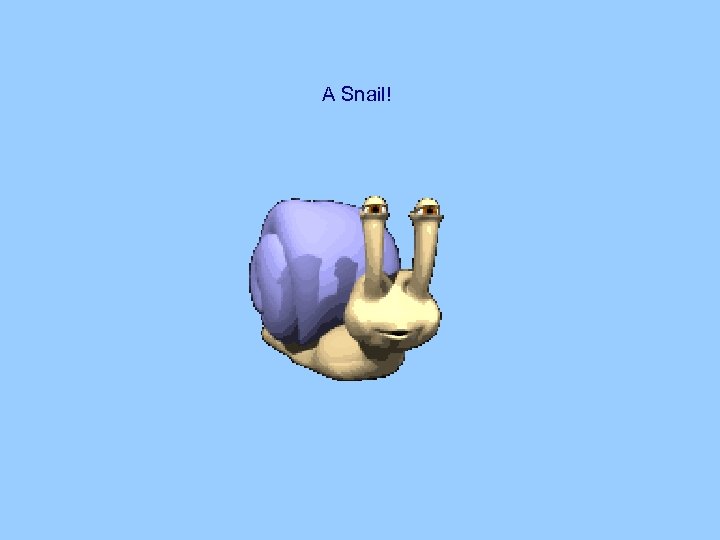 A Snail! 