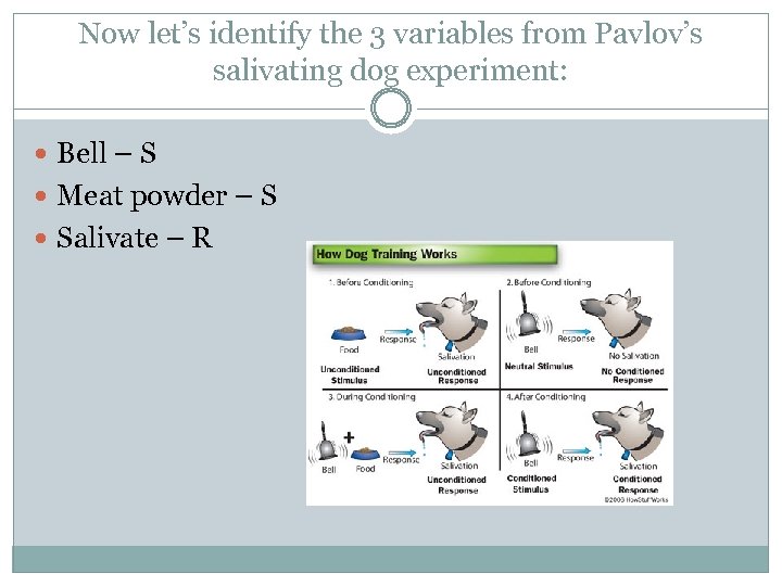 Now let’s identify the 3 variables from Pavlov’s salivating dog experiment: Bell – S