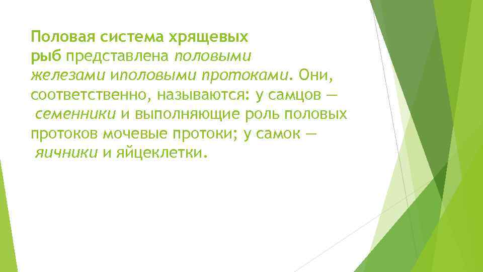 Половая система хрящевых рыб представлена половыми железами иполовыми протоками. Они, соответственно, называются: у самцов