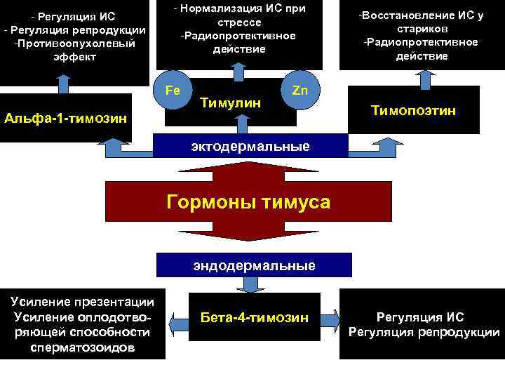 - Регуляция ИС - Регуляция репродукции -Противоопухолевый эффект - Нормализация ИС при стрессе -Радиопротективное